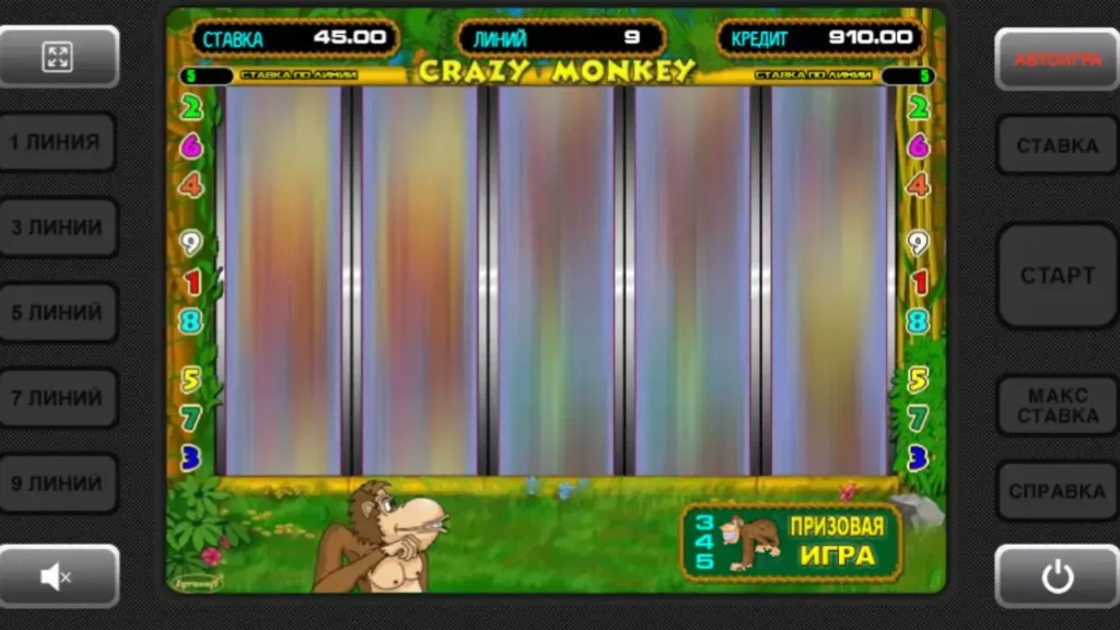 crazy monkey bonus