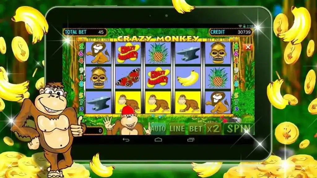 crazy monkey on tablet