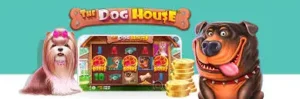the dog house on phone