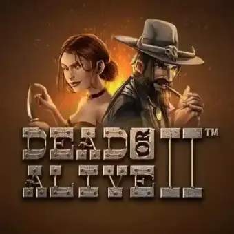 Dead or Alive 2  