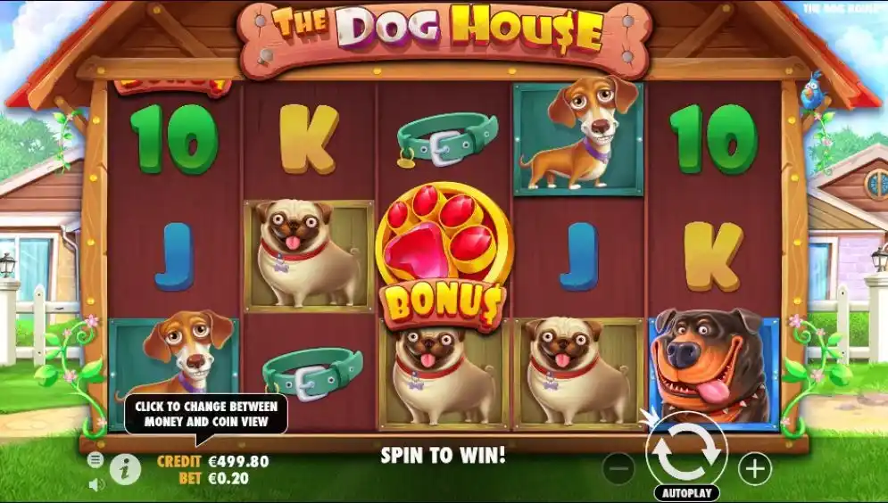 the dog house playfield