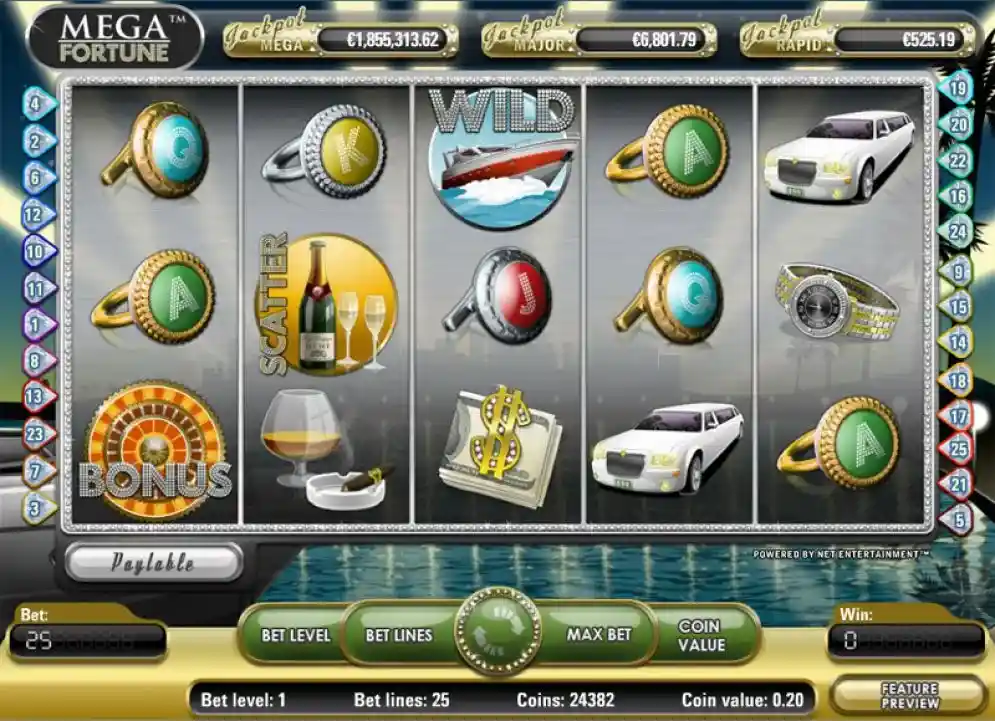mega_fortune_playfield